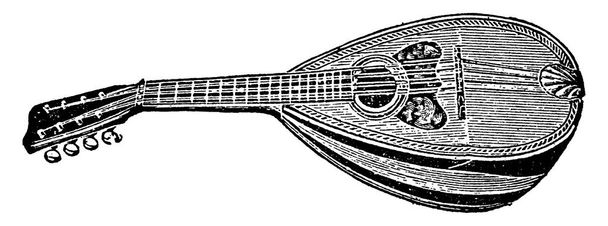 The mandolin, a stringed instrument of Italian origin, commonly has four courses of doubled metal strings tuned in unison (8 strings), vintage line drawing or engraving illustration. - Vector, Image