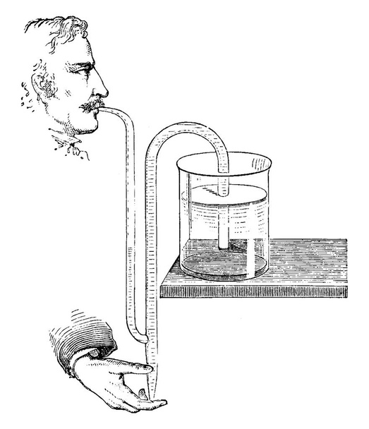 Ένας άνθρωπος με μουστάκια, πιπίλισμα του νερού μέσω σωλήνα με κάτω άνοιγμα για να ξεκινήσετε σιφόν, vintage γραμμή σχέδιο ή χαρακτική εικόνα. - Διάνυσμα, εικόνα