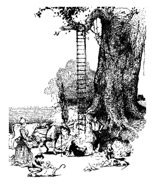 Puussa ja ihmisessä pidetyt tikkaat kaatuivat maahan, ihmiset ja eläimet puun ympärillä, vintagepiirros tai kaiverrus
 - Vektori, kuva
