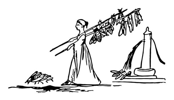 Edward Lear, deze scène toont een dame met twee stokjes in twee handen vol met grote vliegen, sommige vliegen aan pomp, sommige vliegen op grond, vintage lijntekening of gravure illustratie - Vector, afbeelding
