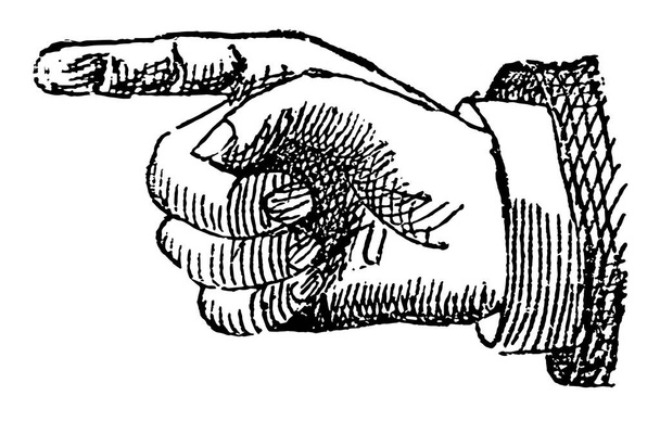 Mão são constituídos pela palma da mão e dedos, desenho linha vintage ou gravura ilustração
. - Vetor, Imagem