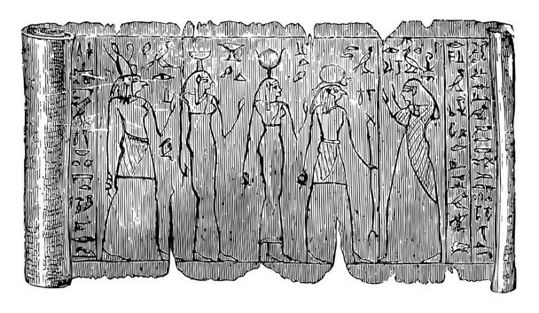 Papiro o Sociedad Histórica de Nueva York, designar documentos, trazado de líneas vintage o ilustración de grabado
 - Vector, Imagen