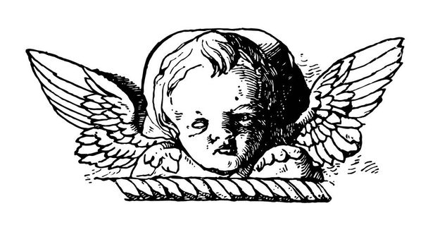 Cherub hoofd is in de vroege Italiaanse Claustrum, vintage lijntekening of gravure illustratie. - Vector, afbeelding