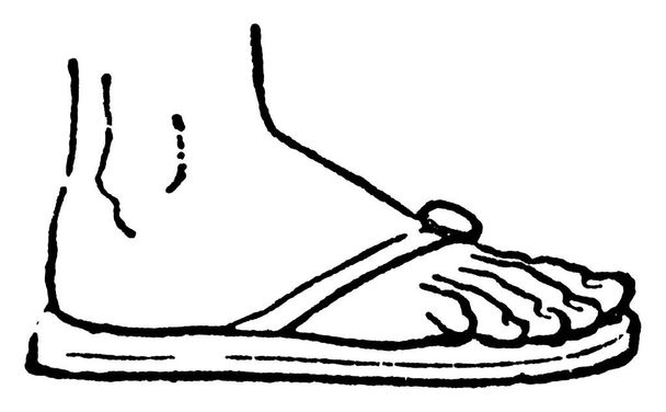 Sandalo era di solito una suola di cuoio e legato sul piede da cinghie di cuoio, disegno a linee vintage o incisione illustrazione
. - Vettoriali, immagini