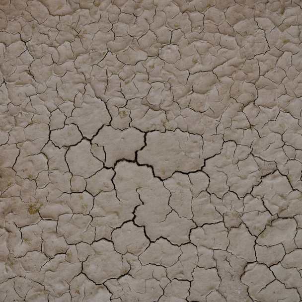 テクスチャ割れた地球背景 - 干ばつ土地グランジ汚い - 写真・画像