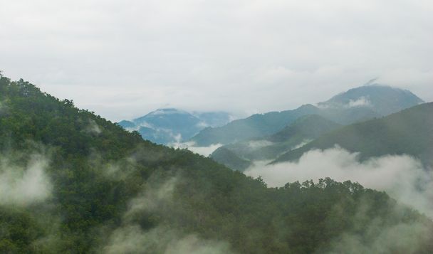 Foggy hills - mountains landscape mist - mist and mountain - Photo, Image