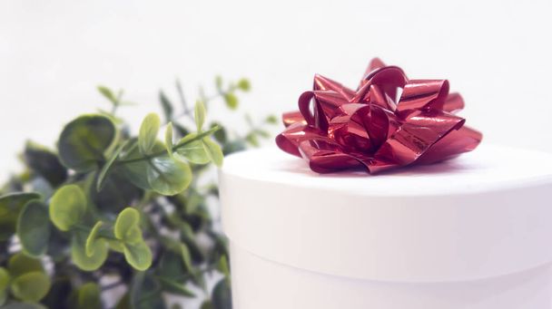 White gift box with red bow on a background of green leaves, St. Valentine's Day, International Women's Day, birthday, holiday concept, mock up, copy space - Photo, image