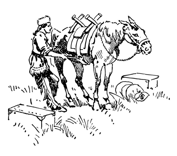 Cette illustration représente Pack Horse qui servait à transporter des charges, dessin au trait vintage ou illustration de gravure
. - Vecteur, image