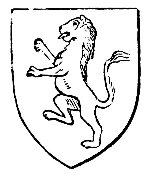 Rampant Lion a été considéré comme un emblème approprié par les souverains d'Angleterre, dessin au trait vintage ou illustration de gravure
. - Vecteur, image