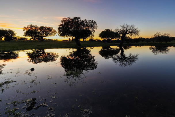 Krajina západu slunce v laguně poblíž Arroyo de la Luz. Extremadura. Španělsko. - Fotografie, Obrázek