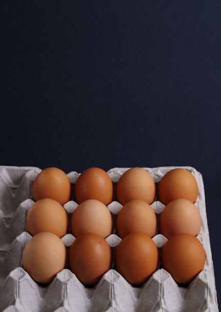 Fresh Eggs - Фото, изображение