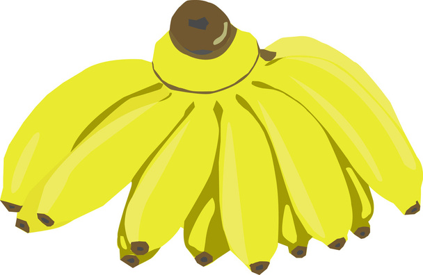 Μπανάνα - Φωτογραφία, εικόνα