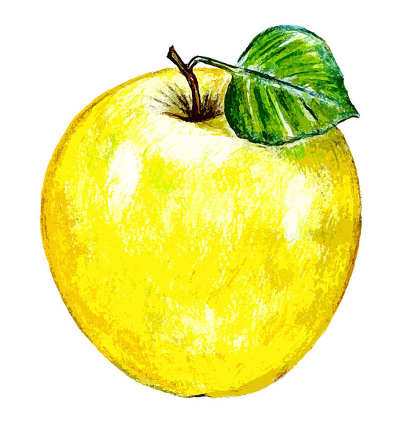 Жовте яблуко на білому тлі
 - Фото, зображення