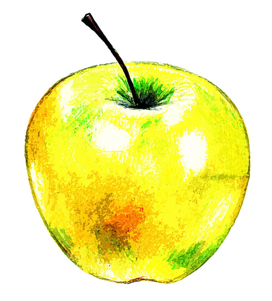 Yellow Apple on a white background - Photo, Image
