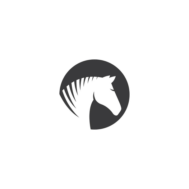 Plantilla de logotipo de caballo Diseño de ilustración vectorial - Vector, Imagen