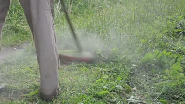 munkavállaló kaszálás nedves fű - Felvétel, videó