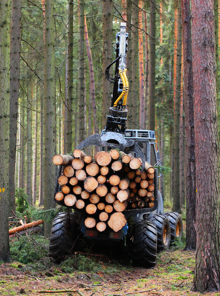 Жатва, работающая в лесу. - Фото, изображение