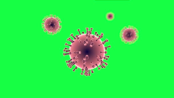 Coronavirus 3D model from Cinema 4D on green screen - Materiał filmowy, wideo