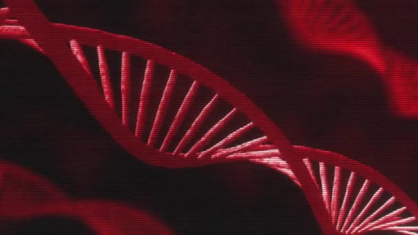 Animación 3D de ADN abstracto sobre fondo oscuro con bucle sin fisuras. Diseño conceptual de información genética para la animación científica. Holograma rojo brillante giratorio ADN doble hélice sobre fondo negro
. - Metraje, vídeo