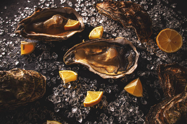 Fresh opened oyster - Foto, Imagen