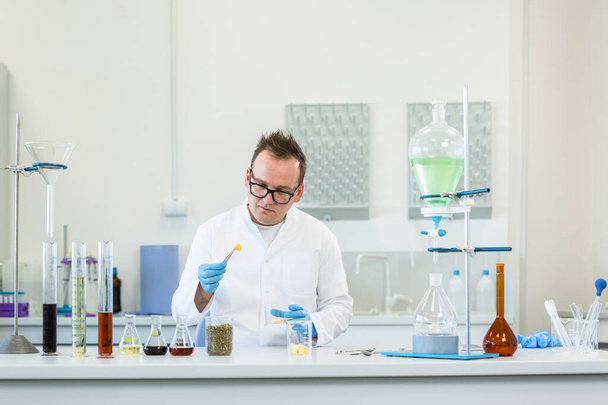 男性の化学者は実験室で結晶中の麻CBDテンペを検査します。彼女はピンセットを使ってガラスを見る。テーブルとマリファナの種子にCBD油があります。ヘルスケア薬局のコンセプト. - 写真・画像