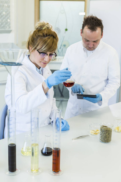ガラスを身に着けている女性化学者は実験室で麻CBDおよびCBDaオイルと働く。彼女はラテックス手袋、ガラス管とエルレンマイヤーフラスコを使用しています。大麻の種からの医療薬局. - 写真・画像