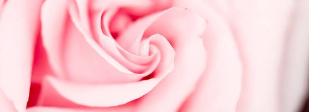 Tender rosa flor na natureza, arte floral e jardim botânico
 - Foto, Imagem
