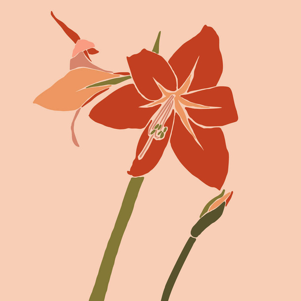 ミニマルなトレンディーなスタイルでアマリリスの赤い花。現代的なシンプルな抽象的なスタイルで植物のシルエット。ベクターイラストコラージュ。Tシャツプリント、カード、ポスター、ソーシャルメディアの投稿のために - ベクター画像