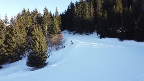 Εναέρια χειμερινή σκηνή των αλπικών χιονισμένες βουνοκορφές και σκοτεινό δάσος ερυθρελάτης στο χιόνι - Πλάνα, βίντεο