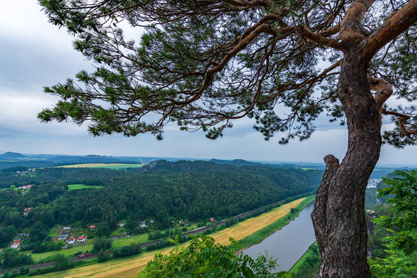 The river Elbe in Saxon Switzerland near Dresden on a cloudy day - Photo, Image