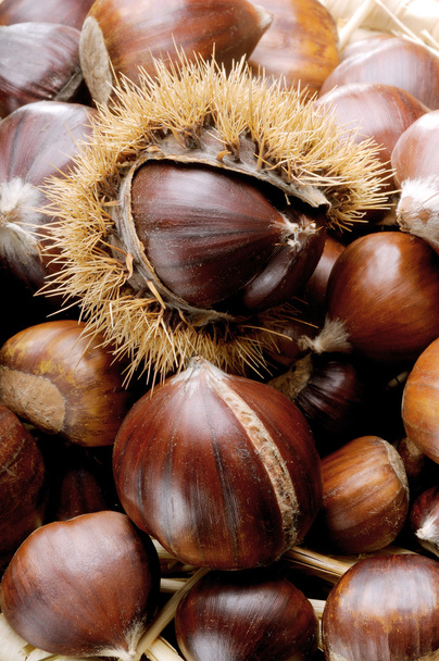 chestnuts - Photo, Image