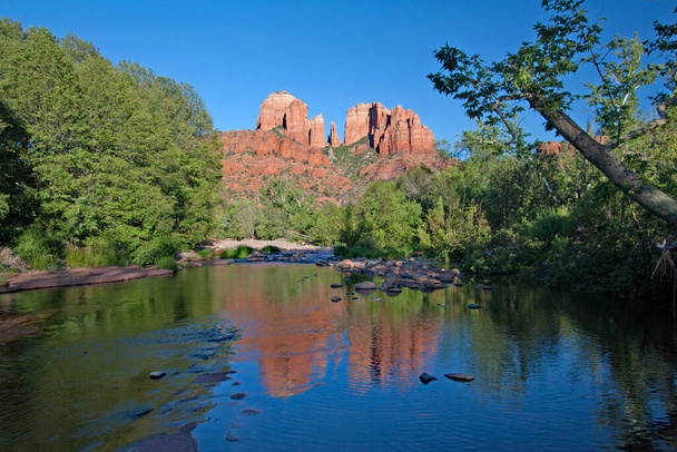 Cathedral Rock reflected in Oak Creek amidst green summer foliage near Sedona, Arizona. - 写真・画像