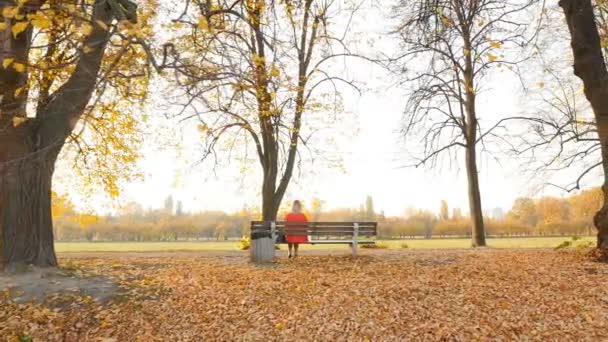 Girl in a red dress is sitting on a bench. Autumn park with yellow foliage. Camera in motion - 映像、動画