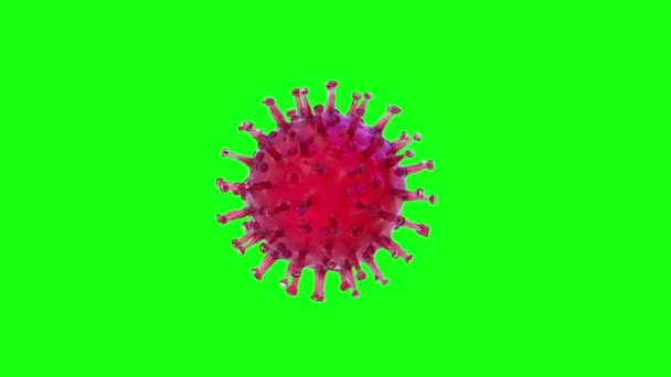 アニメーションコロナウイルスは、 4k-微生物学とウイルス学の概念のクロマ背景で回転します。中国病原体呼吸器コロナウイルス2019-ncov - 3Dレンダリング。4kループビデオアニメーション - 映像、動画