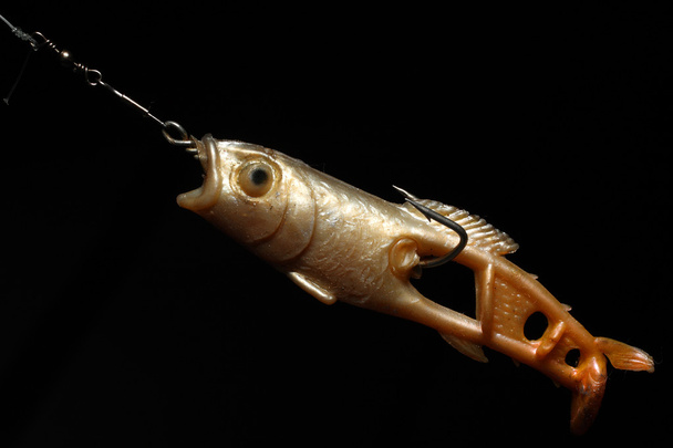 Fishing lure - Photo, Image