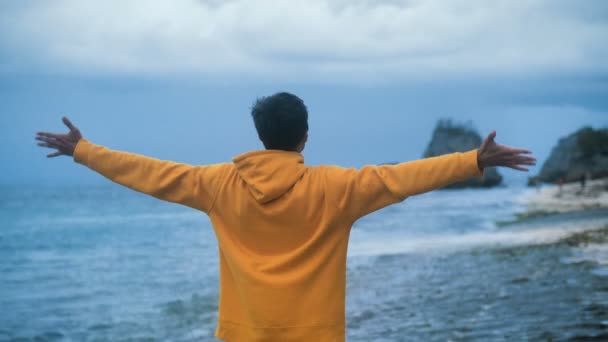 Takaisin näkymä mies matkustaja nostaa kädet ylös seisoo takaisin kaunis trooppinen ranta illalla. Vapauden käsite
 - Materiaali, video