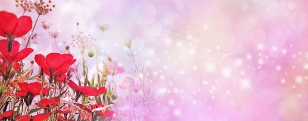 Különleges alkalomból piros virág szikrázik rózsaszín széles banner - véletlenszerűen csillogó csillogás folyik át a bokeh háttér rét virágok a bal sarokban, és másolja a helyet                                - Fotó, kép