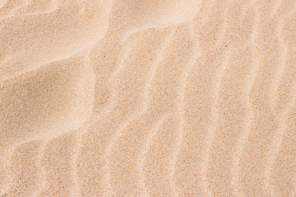 夏の砂浜の砂、背景としての質感 - 写真・画像