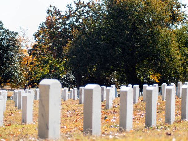 Arlington Ulusal Mezarlığı, Washington D.C. Sonbahar. - Fotoğraf, Görsel