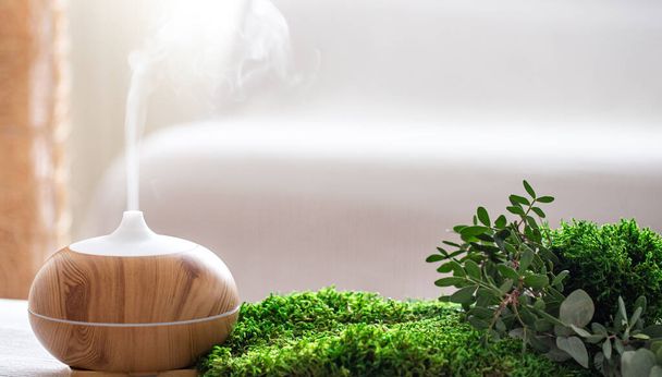 Modern Aromatic oil diffuser with fresh herbs . Clean and fragrant air at home. - Fotografie, Obrázek