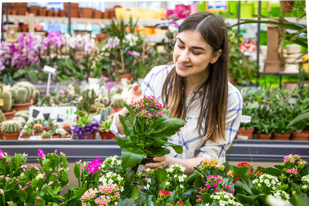 Красивая молодая женщина в цветочном магазине и выбирает цветы. Концепция садоводства и цветов
 . - Фото, изображение