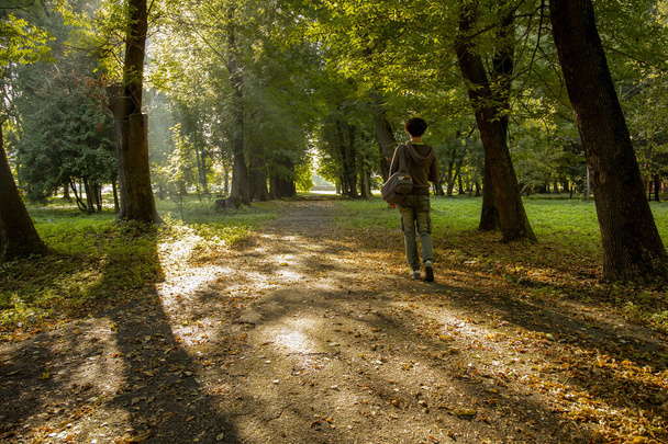 koncepcja samotności samotny facet z powrotem do kamery spacer w parku dramatyczny wschód słońca poranna droga między drzewami w pobliżu promieni światła przez liści w czasie wiosny - Zdjęcie, obraz