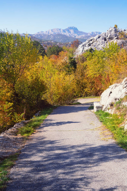 Ηλιόλουστο φθινόπωρο. Όμορφο ορεινό τοπίο. Μαυροβούνιο, Διναρικές Άλπεις. Άποψη του βουνού Lovcen, μονοπάτι κοντά στην πόλη Cetinje - Φωτογραφία, εικόνα