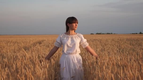 Šťastná mladá dívka běží zpomaleně přes pole a rukou se dotýká pšeničných uší. Krásná volná žena těší přírodu v teplém slunci v pšeničném poli na pozadí západu slunce. Dívka cestuje. - Záběry, video