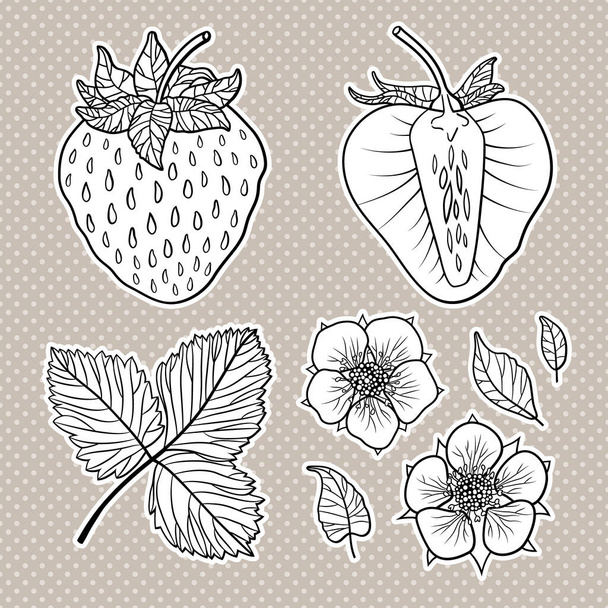Isolated strawberries. Graphic stylized drawing. Vector illustration. - Vector, Image