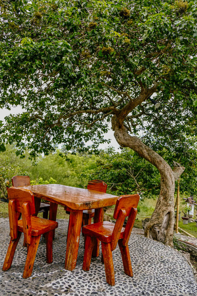 Mesa de café de madera y sillas en un jardín tropical
. - Foto, Imagen