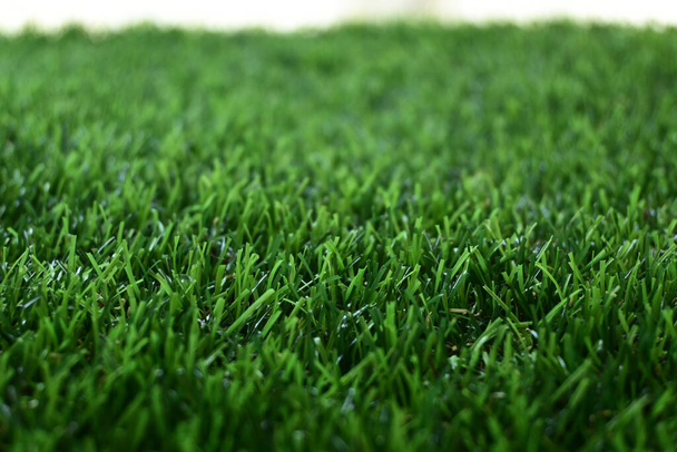 green grass turf floor artificial - Photo, Image