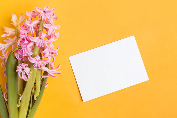 Papier blanc avec des fleurs de jacinthe rose sur fond jaune vif
. - Photo, image