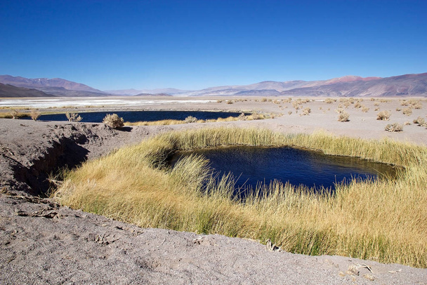 Geyser Ojos del Campo az antofallai Salarban, az argentin Puna de Atacamában. Antofalla az Észak-Catamarca tartomány Antofagasta de La Sierra megyéjében fekszik, Észak-nyugat Argentínában. Úgy vélik, hogy része a központi vulkán - Fotó, kép