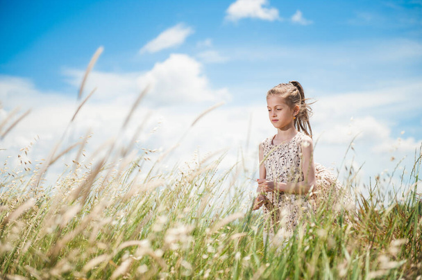gyönyörű kis vékony lány nyári ruha fűben mező alatt kék felhős ég - Fotó, kép